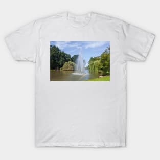 Germany; Europe; Lower Saxony; Delmenhorst; Park; park area; graft; rainbow; Fountain; water fountain T-Shirt